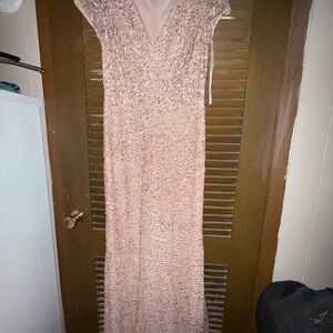 Adrianna Papell Blush Sequin Maxi Dress
